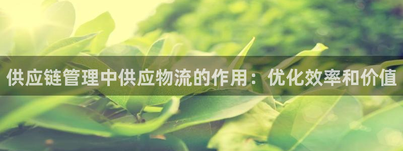 28圈.ccm官网：供应链管理中供应