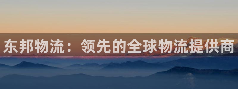 28圈二维码：东邦物流：领先的全球物