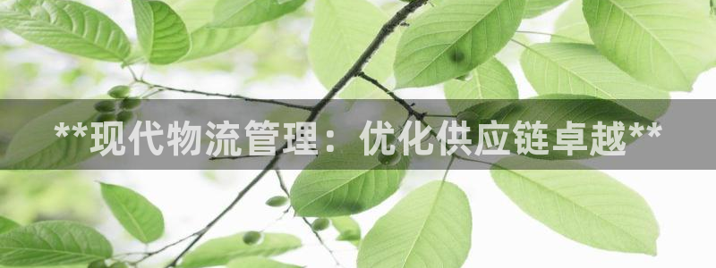 28圈注册网址