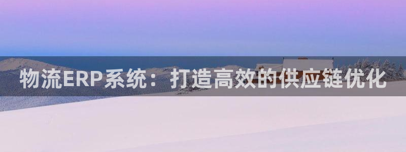 28圈游戏：物流ERP系统：打造高效