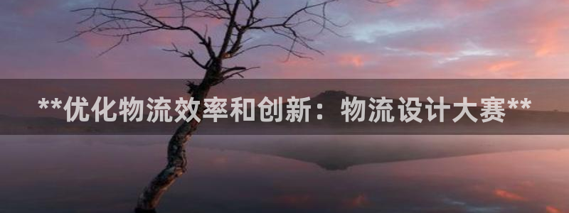 28圈注册号：**优化物流效率和创新