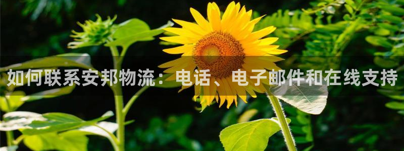 28圈辅助
