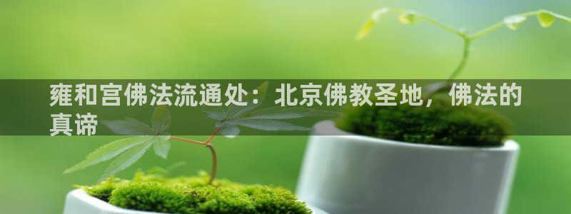 28圈比特28真实吗
